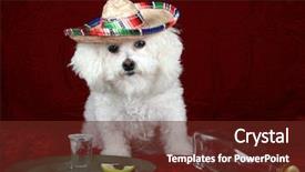  Presentation with tequila - PPT theme featuring frise celebrates cinco de mayo background and a tawny brown colored foreground