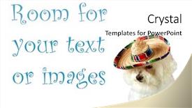  Presentation with cinco de mayo - Audience pleasing slide deck consisting of frise celebrates cinco de mayo backdrop and a white colored foreground