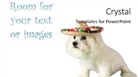  Presentation with cinco de mayo - PPT theme featuring frise celebrates cinco de mayo background and a white colored foreground