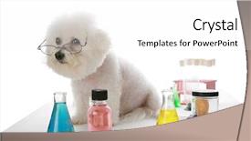  Presentation with human beings - Colorful theme enhanced with frise works in a labratory backdrop and a white colored foreground