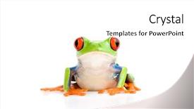  Presentation with red apple tree - PPT theme with frog closeup - a red-eyed background and a white colored foreground