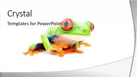  Presentation with red apple tree - Beautiful presentation featuring frog closeup - a red-eyed backdrop and a  colored foreground