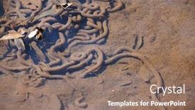  Presentation with swamp - Presentation theme enhanced with frog-egg-tubes background and a coral colored foreground