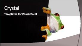  Presentation with frog - Colorful theme enhanced with frog frame backdrop and a black colored foreground