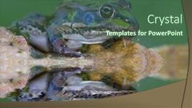  Presentation with pond - Audience pleasing theme consisting of frog-in-the-pond backdrop and a ocean colored foreground