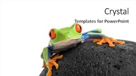  Presentation with frog - PPT theme enhanced with picture of a beautiful smiling girl holding bunch of carrots against background full isolated portrait of a beautiful caucasian woman with carrot isolated over white background background and a lemonade colored foreground