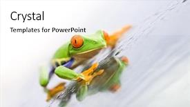  Presentation with eye glass - Beautiful presentation featuring  backdrop and a  colored foreground