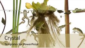  Presentation with earth water and plants - Slide deck enhanced with adviser giving investment and retirement background and a gray colored foreground