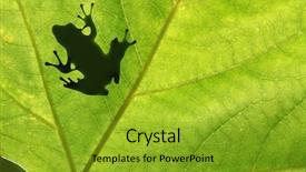  Presentation with frog - PPT theme with frog shadow on the leaf background and a gold colored foreground
