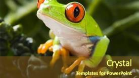  Presentation with frog - Amazing slide deck having version of a virginia flag backdrop and a  colored foreground.