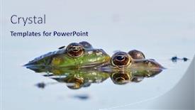  Presentation with danube delta - Beautiful PPT layouts featuring frogs-in-natural-habitat-during backdrop and a sky blue colored foreground