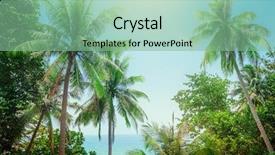  Presentation with palm - Amazing slide set having fronds - palm trees backdrop and a  colored foreground