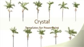  Presentation with sports table tennis two ping - Amazing slide set having fronds - panorama shoot for two group backdrop and a cream colored foreground