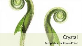  Presentation with fern - PPT theme consisting of fronds - spring concept unfolding fern leaves background and a soft green colored foreground