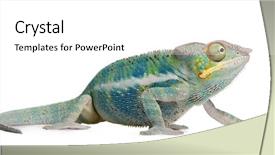  Presentation with hypertension in young - Colorful slides enhanced with front of a white background backdrop and a  colored foreground