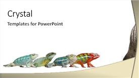  Presentation with old young - Audience pleasing presentation theme consisting of front of a white background backdrop and a white colored foreground