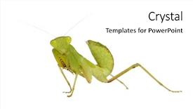  Presentation with young man holdng laptop on lap money - Amazing presentation having front of a white backgroung backdrop and a  colored foreground