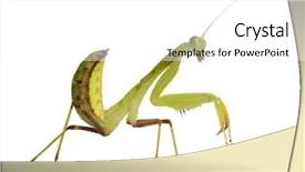  Presentation with young man holdng laptop on lap money - Presentation theme featuring front of a white backgroung background and a  colored foreground