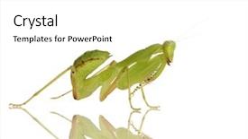  Presentation with young - Cool new presentation theme with front of a white backgroung backdrop and a  colored foreground