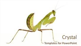  Presentation with young man holdng laptop on lap money - Beautiful presentation featuring liberty and july 4th firework backdrop and a dark gray colored foreground