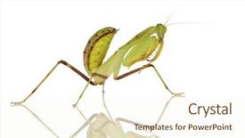  Presentation with white coloured lines - Amazing slides having front of a white backgroung backdrop and a  colored foreground