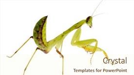  Presentation with young man holdng laptop on lap money - PPT theme having front of a white backgroung background and a  colored foreground