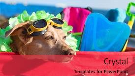  Presentation with luggage - Cool new presentation with front of the sea backdrop and a red colored foreground