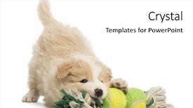  Presentation with toy - Audience pleasing slide set consisting of front of white background backdrop and a white colored foreground