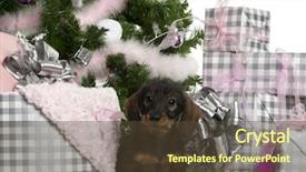  Presentation with silver christmas - Amazing PPT layouts having front of white background backdrop and a  colored foreground