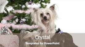  Presentation with silver christmas - PPT theme with front of white background background and a gray colored foreground