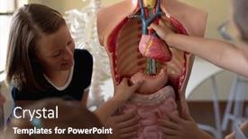  Presentation with human organs - Presentation theme having front-view-close-up background and a tawny brown colored foreground