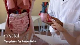  Presentation with teach - Audience pleasing presentation consisting of front-view-mid-section backdrop and a tawny brown colored foreground