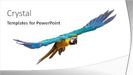  Presentation with blue yellow - Colorful PPT layouts enhanced with front-view-of-a-blue backdrop and a white colored foreground