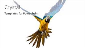  Presentation with blue yellow - Slides enhanced with front-view-of-a-blue background and a white colored foreground