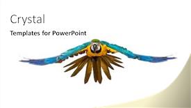  Presentation with blue yellow - Slide deck enhanced with front-view-of-a-blue background and a white colored foreground