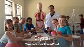  Presentation with human biology - Beautiful presentation featuring front-view-of-a-caucasian backdrop and a tawny brown colored foreground