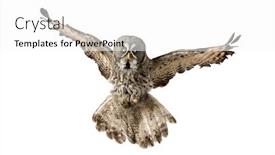  Presentation with gray - PPT layouts with front-view-of-a-great background and a white colored foreground