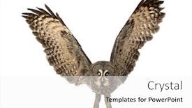  Presentation with gray - Colorful slide deck enhanced with front-view-of-a-great backdrop and a white colored foreground