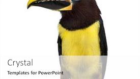  Presentation with white green - Slides enhanced with front-view-of-a-green background and a white colored foreground