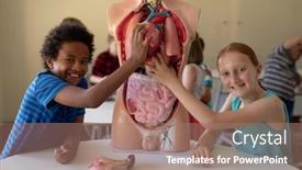  Presentation with human organs - Cool new presentation theme with front-view-of-an-african backdrop and a coral colored foreground