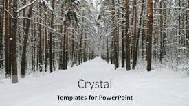  Presentation with forest morning - PPT theme having front-view-of-long-road background and a sky blue colored foreground