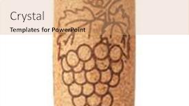  Presentation with cork - Slide set having front-view-of-natural-wine background and a coral colored foreground