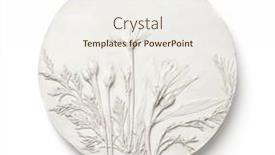  Presentation with botanical - Slide deck featuring front-view-of-round-gypsum background and a sky blue colored foreground