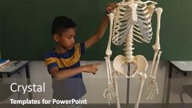  Presentation with school elementary - Beautiful PPT theme featuring front-view-of-schoolboy-explaining backdrop and a gray colored foreground