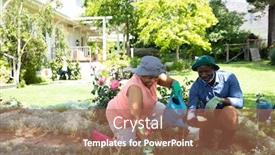  Presentation with home gardening - Slide deck with front-view-of-senior-african background and a coral colored foreground