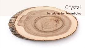  Presentation with cross - Cool new PPT layouts with front-view-of-tree-trunk backdrop and a lemonade colored foreground