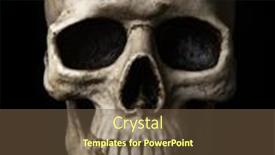  Presentation with skull - PPT layouts enhanced with frontal-view-at-human-skull background and a tawny brown colored foreground