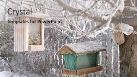  Presentation with bird - Amazing presentation having frost covered bird feeders backdrop and a light gray colored foreground