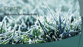  Presentation with blur - Slide deck having frost-on-the-grass background and a light blue colored foreground