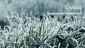  Presentation with winter ice - Presentation design having frost-on-the-plants-ice background and a seafoam green colored foreground